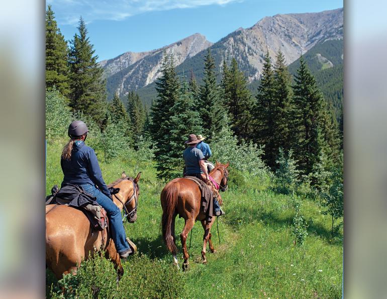 out there first aid, emergencies with horses, riding accidents, trail riding safety, horse riding safely, horse riding first aid