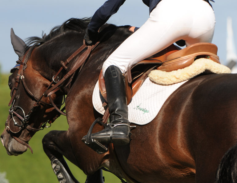 half pad, saddle fitting,  jochen schleese, schleese saddle fitting, equine ergonomist, saddlefit for life, schleese, saddle balance, schleese saddle, pommel to cantle