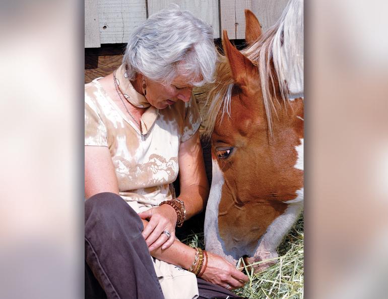end-of-life horse care, prepare for death of horse, when to euthanize horse, should i put my horse down, how to tell if horse is in pain, ways to euthanize horse