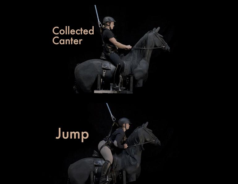 riding horses simulator, equine science update mark andrews, saddle research trust's conference