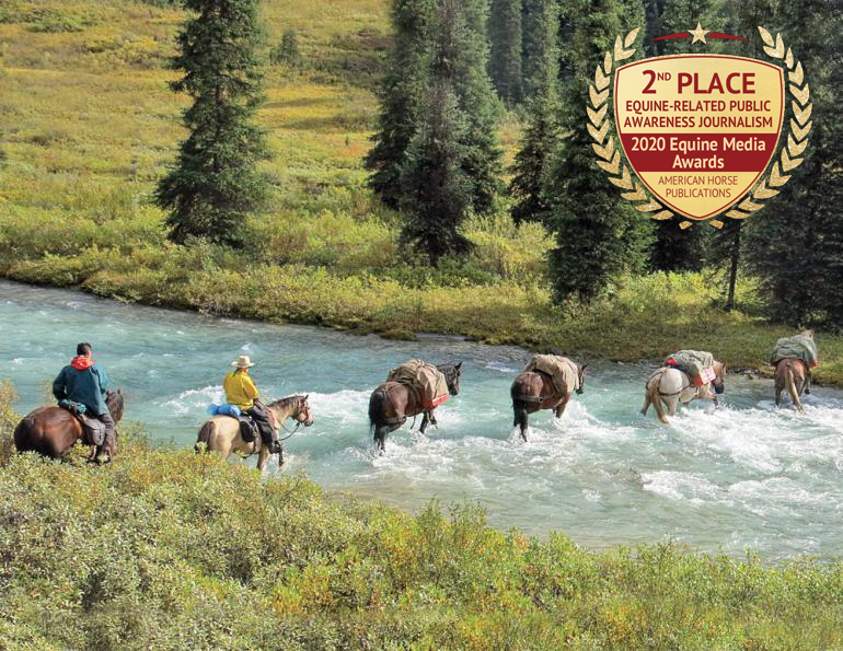 ahp awards, american horse publications 2021 awards, horse magazines, equine journalism