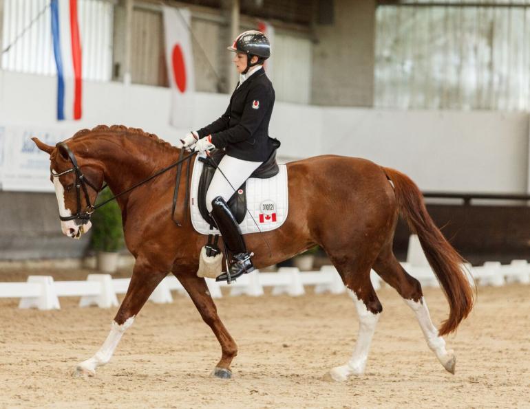 Canadian Equestrian Team Rio 2016 Paralympic Games Equestrian Canada Robyn Andrews Roberta Sheffield Canadian Para-Dressage Team FEI World Equestrian Games Ashley Gowanlock Lauren Barwick