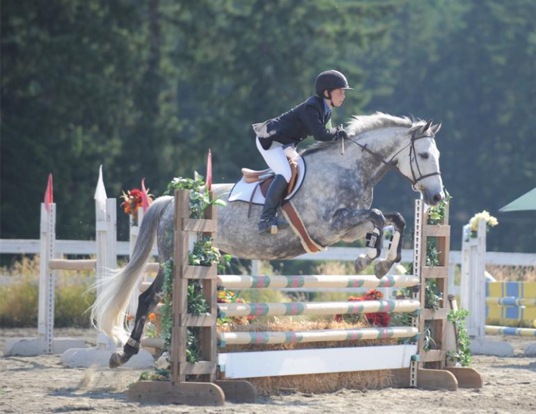 Karen L. Weslowski, horse-related accidents, equine insurance coverage, horse training concerns, horse care, Occupiers Liability Legislation, horse insurance