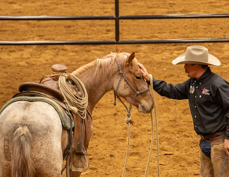 2025 road to the horse dustin sippola, 2025 rtth dustin sippola, wild card challenge dustin sippola, the wranglers road to the horse, canadians at road to the horse 2025