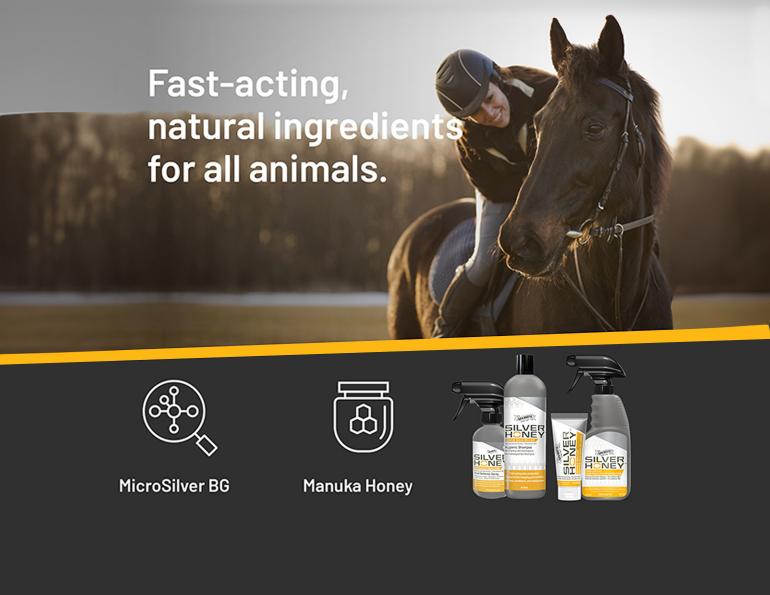 Silver Honey for horses, MicroSilver BG horses, manuka honey horses, equine skin care, mud fever horses, pastern dermatitis care, horse wound care products, Absorbine Silver Honey