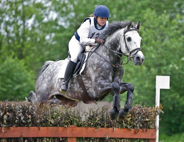 april clay horse psychologist, horse show, riding shows, enjoy a horse show, enjoy riding show, horse show fun, equine show fun