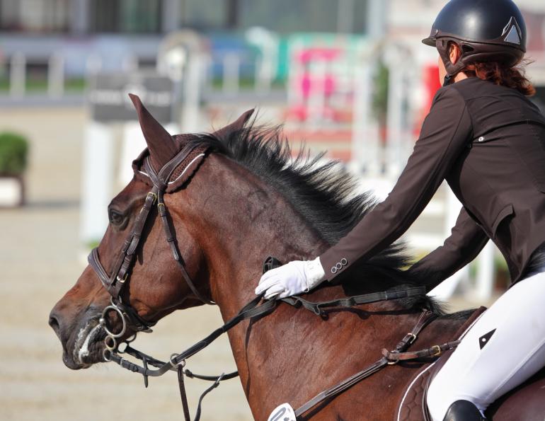 horse riding performance preparation, pre-performance horse riding ritual, preparing for horse riding competition, horse rider psychology horse riding performance preparation, pre-performance horse riding ritual, preparing for horse riding competition, horse rider psychology