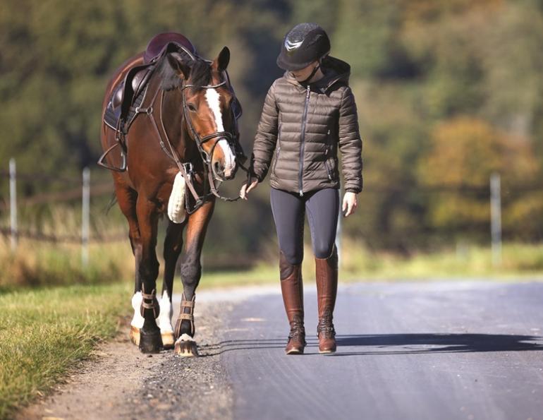 katy white dvm, burwash equine services, equine osteoarthritis, burwash equine services, oa in horses, treating arthritis horses, when horse ultrasound, preventing arthritis horses, injections horse arthritis