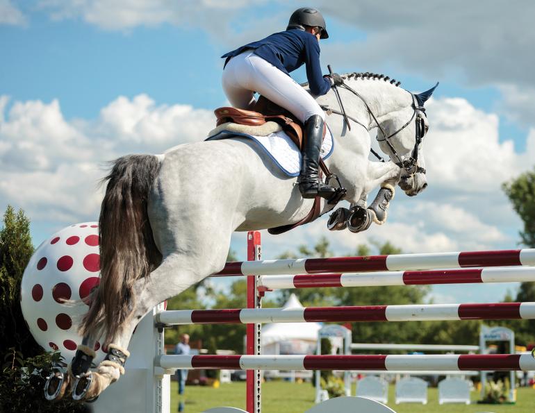 horse back pain, poor saddle fit, horse laser therapy, equine shockwave therapy, equine kissing spine, x-rays equine back, sacroiliac pain horse, equine joint pain