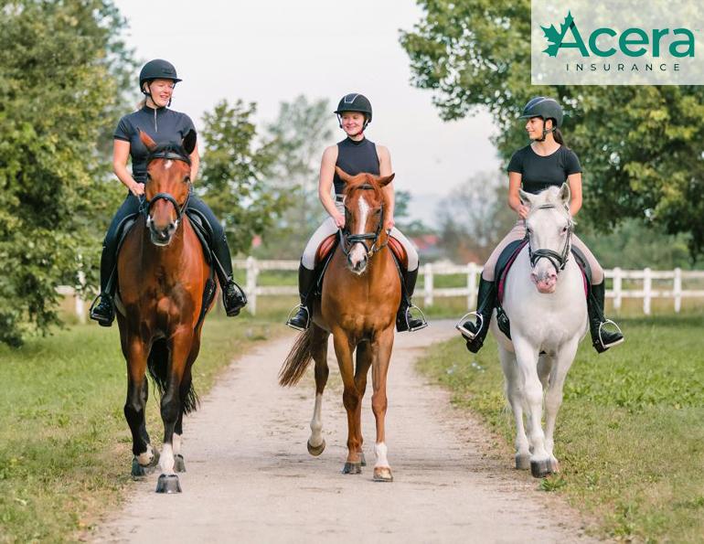 equine association, acera insurance, canadian horse association, horse council bc, ontario equestrian federation, alberta equestrian federation, saskatchewan horse federation, manitoba horse council, nsef, nbea,eay