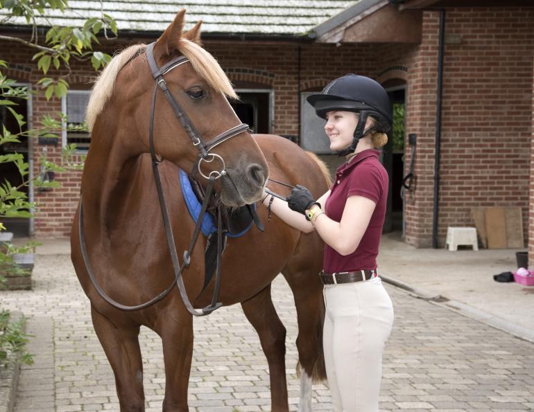 covid-19 horse barns, hygiene in equestrian stables covid-19, equine guelph health and safety