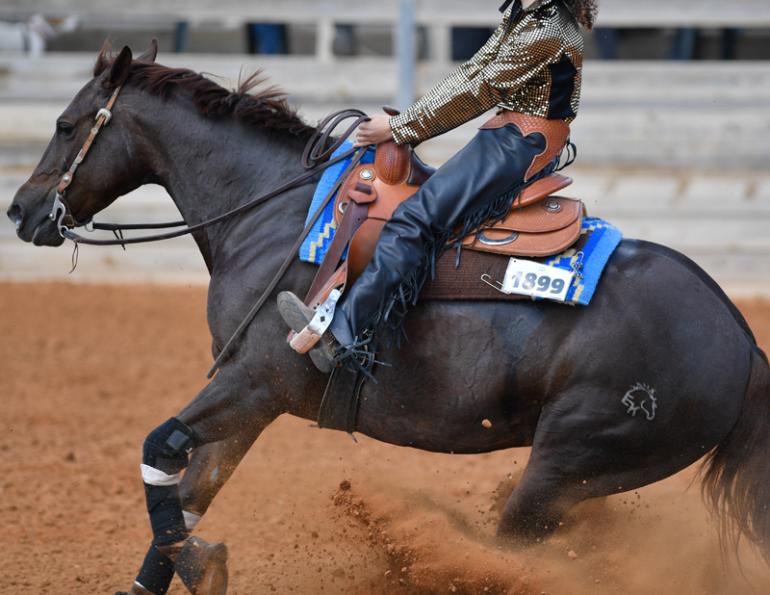 jochen schleese saddle fitting, difference between western saddle versus english saddle, saddle fitting western, saddle fitting english