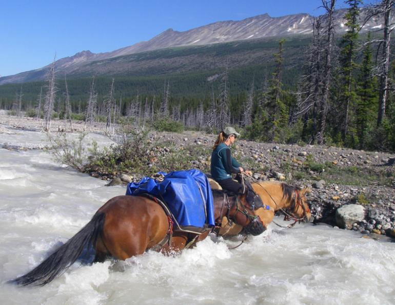 rocky mountain trail rides, mountain trail rides, holiday with horses, holiday horse ride, blue creek outfitting, trail riding, tania millen, Crown Creek, holidays on horseback 