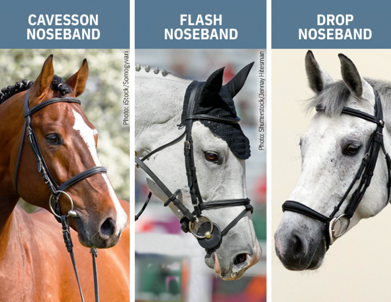 should i use a noseband on horse, types of horse nosebands, why use a noseband horse, ises noseband pressure, how much pressure horse noseband