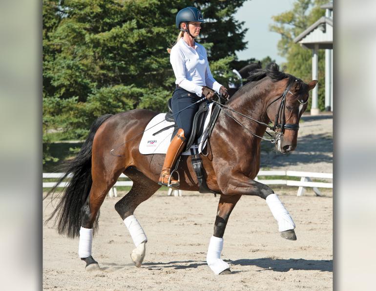 flex band pilates exercises, free weight pilates, dumbbell pilates, balance pilates, pilates for equestrians, sandra verda zanatta, core strength equestrians, workouts for horse people