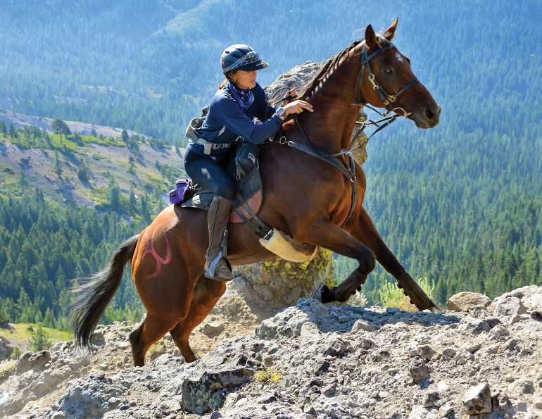 kelly plitz reining, colten powell show jumping, colten powell bronc rider, kelly plitz reining, tina thompson eventing, tina thompson endurance, changing horse discipliens, tania millen