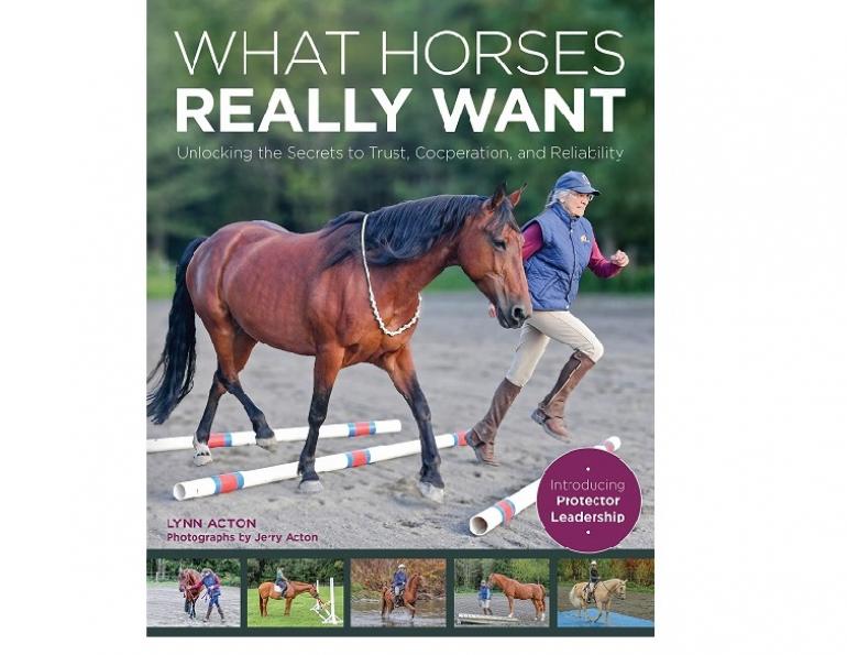 book review what horses really want, lynn acton horse book, horse psychology, how to understand my horse