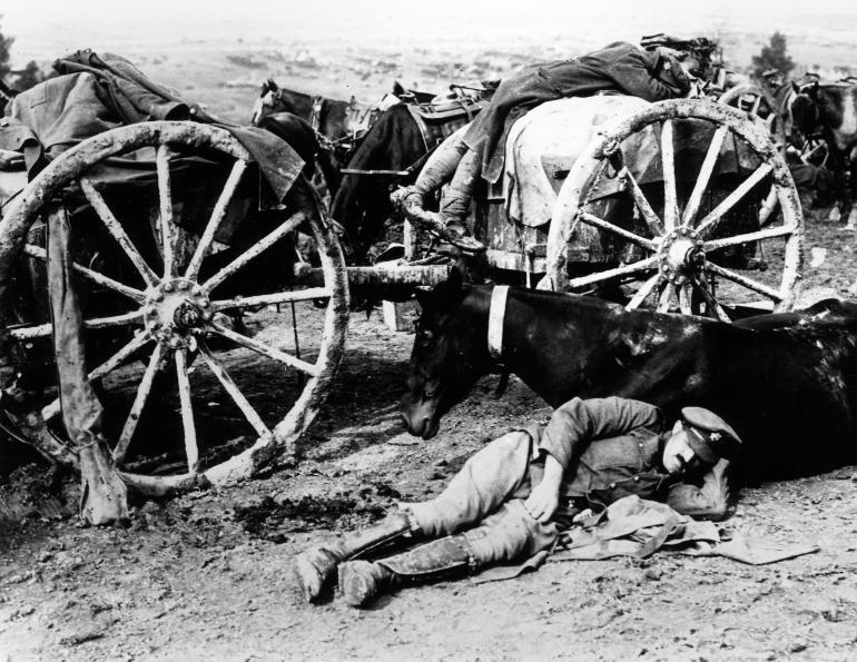 Horses in war, war horse, horses world war 1, horses world war 2, dumb heroes, Riding into War, The Horse in War, my horse warrier, the war illustrated