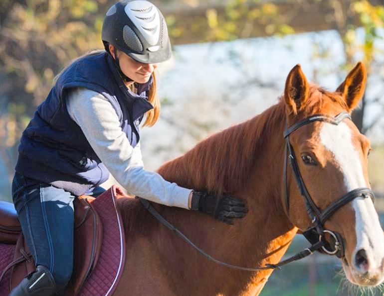Jec Ballou, horse trainer, jec aristotle ballou, western dressage, jec ballou, dressage exercises for horse and rider, jec ballou, equine fitness, beyond horse massage, Jec Ballou