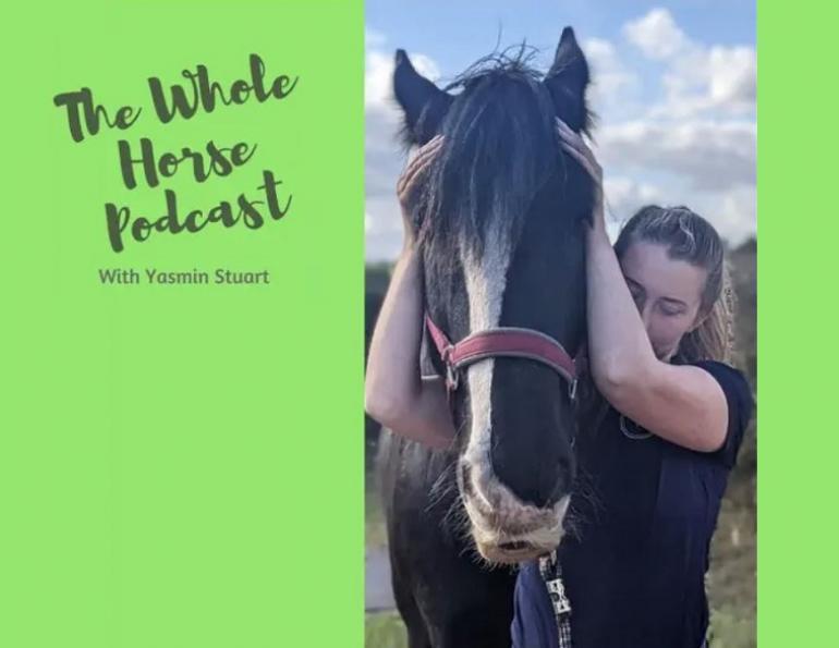 equine chiropractor, horse chiropractor, equine physiotherapy, horse physiotherapy, posture horses, yasmin stuart equine physiotherapist, alexa linton