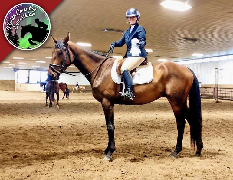 north country equestrian blog, abbey stilwell horse blog, training young horses Canada, starting a green horse, affordable horse ownership Canada, developing a sport horse, groundwork training horses, horse training basics Canada, equestrian on a budget, buying young horses Canada, horse groundwork fundamentals, training horses from scratch, Canadian equestrian training tips, horse trust and groundwork, young horse development Canada, equine training foundations, budget-friendly horse ownership