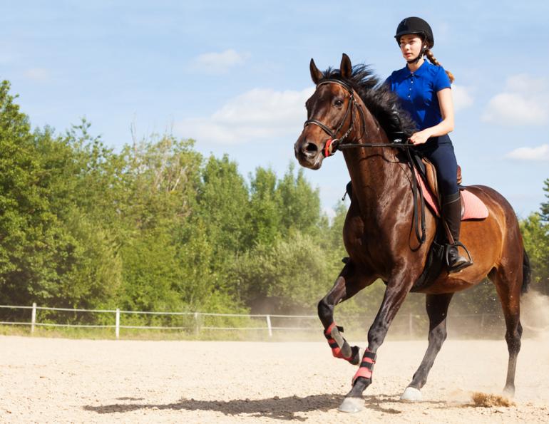 Jec Ballou, horse trainer, jec aristotle ballou, western dressage, jec ballou, dressage exercises for horse and rider, equine fitness Jec Ballou, horse trainer, jec aristotle ballou, western dressage, jec ballou, dressage exercises for horse and rider, equine fitness