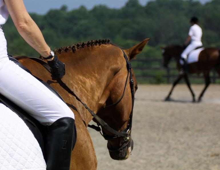 posting vs sitting, jec aristotle ballou, western dressage, jec ballou, dressage exercises for horse and rider, jec ballou, equine fitness, beyond horse massage, Jec Ballou