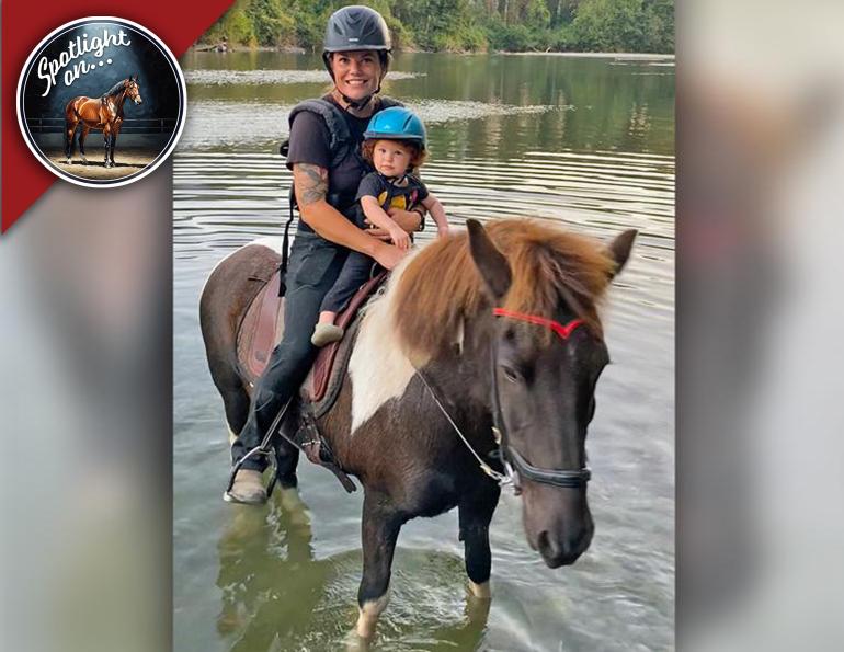 Icelandic horse, Icelandic horse breed, riding Icelandic horses, horse breed story, gaited horses, Icelandic horse culture, versatile horse breeds, horse longevity, personal horse journey