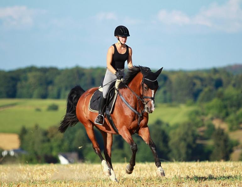 why is my horse lame, jec a ballou, injury horse, horse limping, tight horse reins, rein lameness