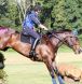 Equiwinner, Electrolytes, Horse Care, Horse Health, Tying Up, Headshaking, Non-Sweating,   