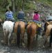 Anchor D Guiding & Outfitting, trail rides, wagon rides, cabin rentals, horses, cowboy, cowboy life, cooking, hay rides, singing songs, cowboy recipes, hunting, weekend trip, week trip, pack rides