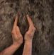 equine massage courses, equine rehab, sidonia mcintyre equine massage, school of equine massage and rehabilitation therapies