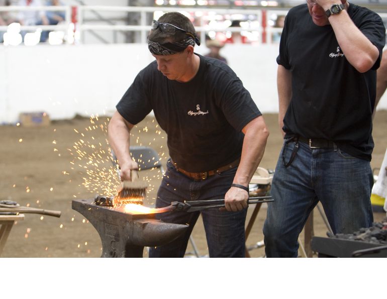 horse industry careers, Equine Farrier career, horse rider Rider Fitness career