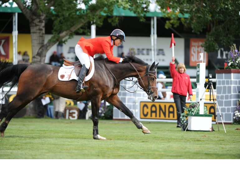 Equine Joint Disease, equine joint inflammation, degenerative equine joint disease, equine arthritis, equine osteoarthritis, Non-steroidal anti-inflammatory equine drugs