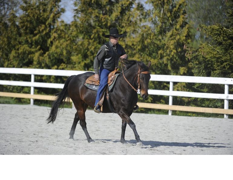 straight horse, reining horse straight, horse steer, turn horse, turn reining horse, reining turn, reining steer, steering reining horse, reining horse training, Western horse training, Cheryl Mitchell, Canadian Horse Journal, horse Canada, horsemanship, horse sport