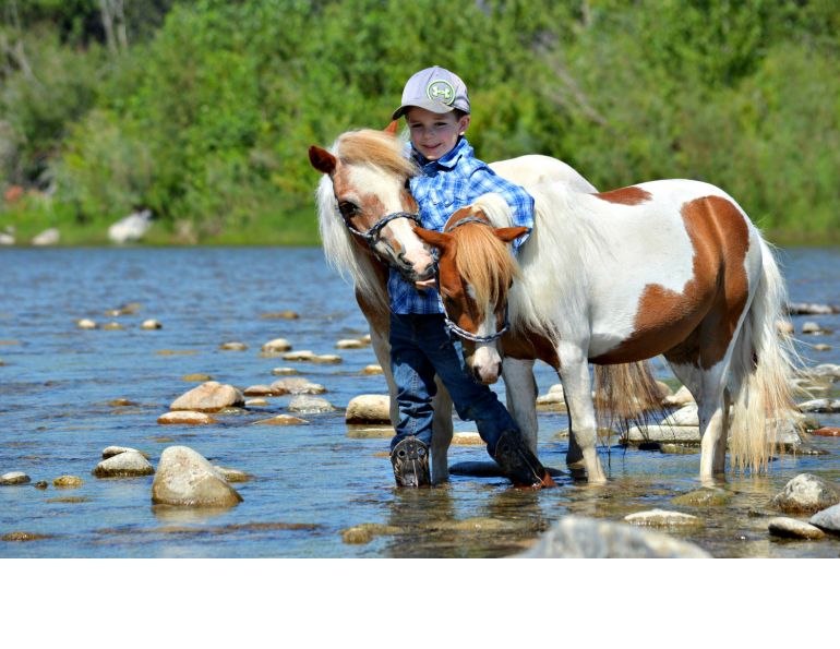 horse photo contest, celebration of horses photo contest, winners of canadian horse journal photo contest