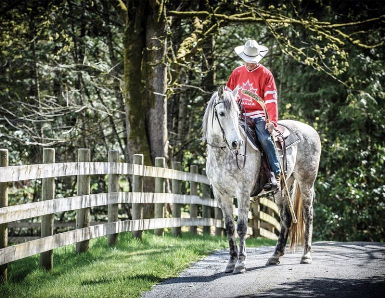 Celebration of Horses Photo contest Celebration of Horses Photo contest