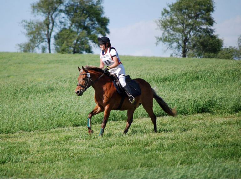 conditioning for equine soundness, equine cardiovascular fitness, long slow distance training horses, proper horse shoeing, strengthening horse on firm ground, Lesley Stevenson 