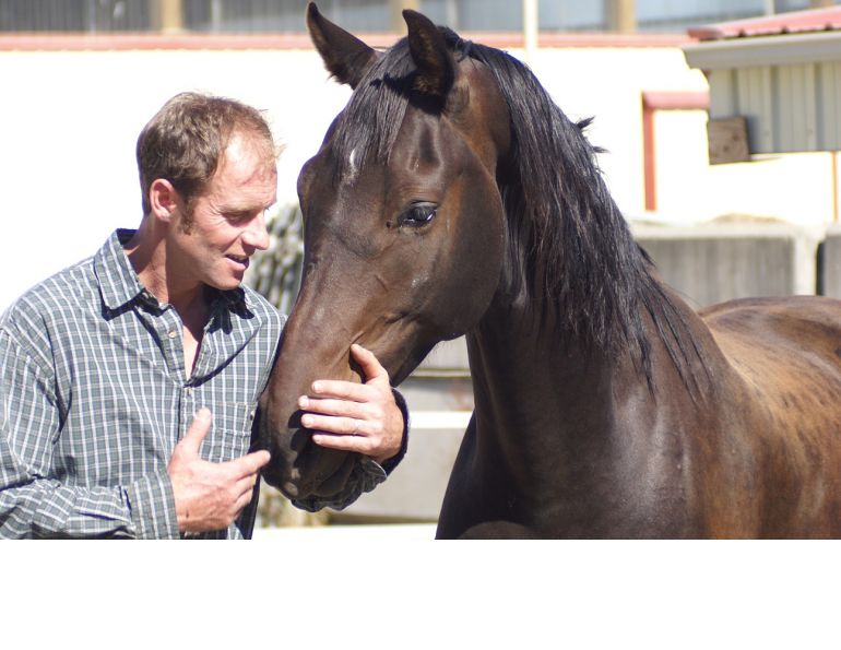 Will Clinging, solving horse behavioural issues, overcoming equine behaviour issues, equine psychology Will Clinging, solving horse behavioural issues, overcoming equine behaviour issues, equine psychology