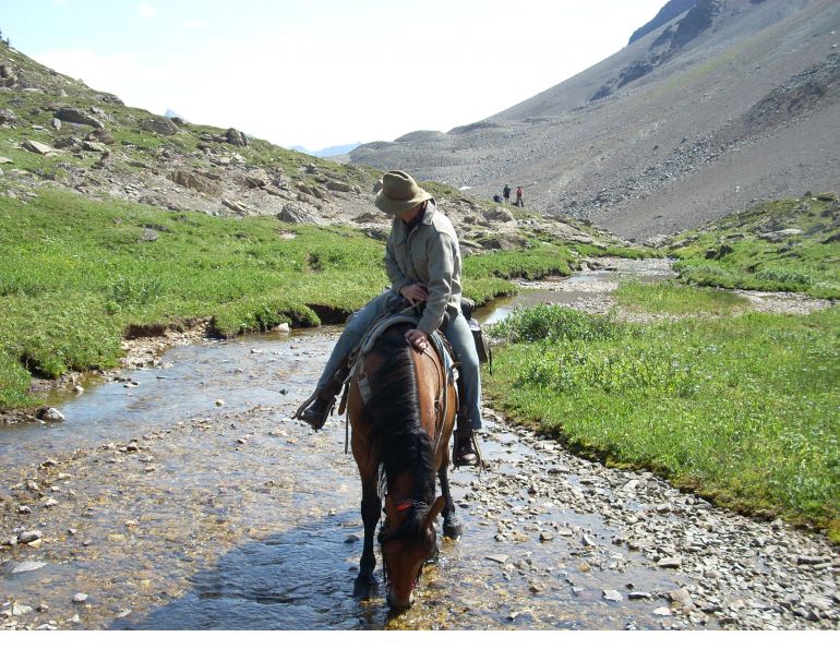Stan Walchuk Jr, Equine Preparation trail riding, horse trail riding, Saddle Bag Trail Gear