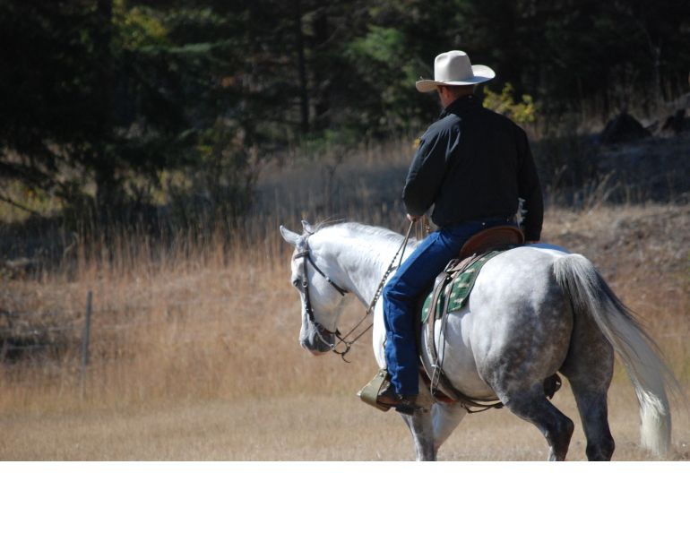 Jonathan Field, comfortable canter, training horse canter, canter length, natural horsemanship