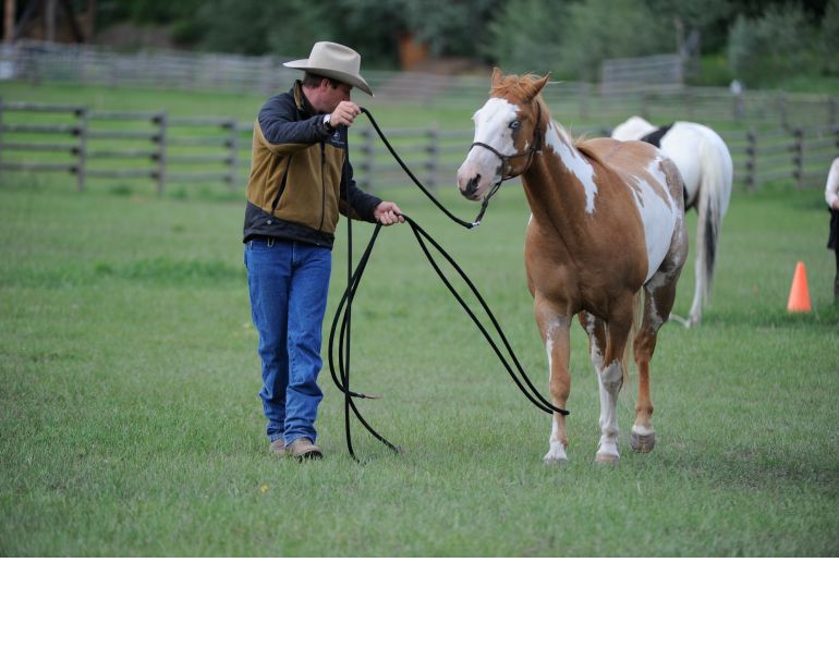 Jonathan Field, natural horsemanship, Leg Shy Horse, claustrophobic horse, connect with shy horse, rope leading horse, get horse to direct steer, horse leading by his feet, horses working cows
