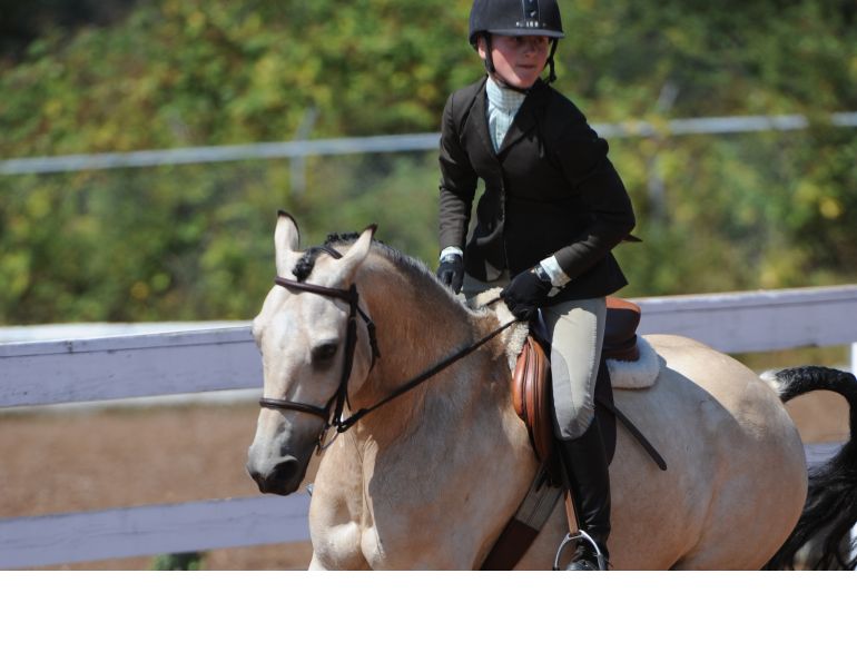 Riding with Quiet Hands