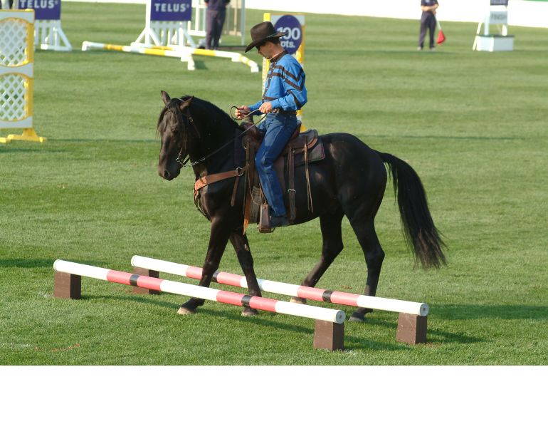 horse rider psychology, confident horse rider, horse rider confidence