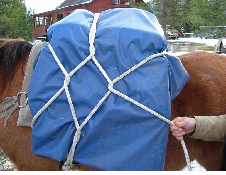 Hitching a Pack Horse, trail riding tips, types of horse htitches, single diamond horse hitch Hitching a Pack Horse, trail riding tips, types of horse htitches, single diamond horse hitch