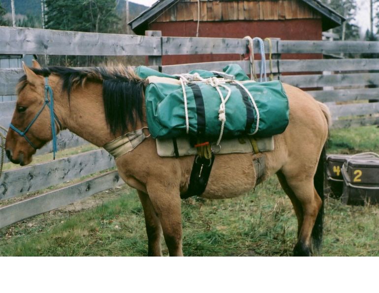 horse camping, packing for horseback trip, packing for horse trail ride, stan walchuk jr horse camping, packing for horseback trip, packing for horse trail ride, stan walchuk jr