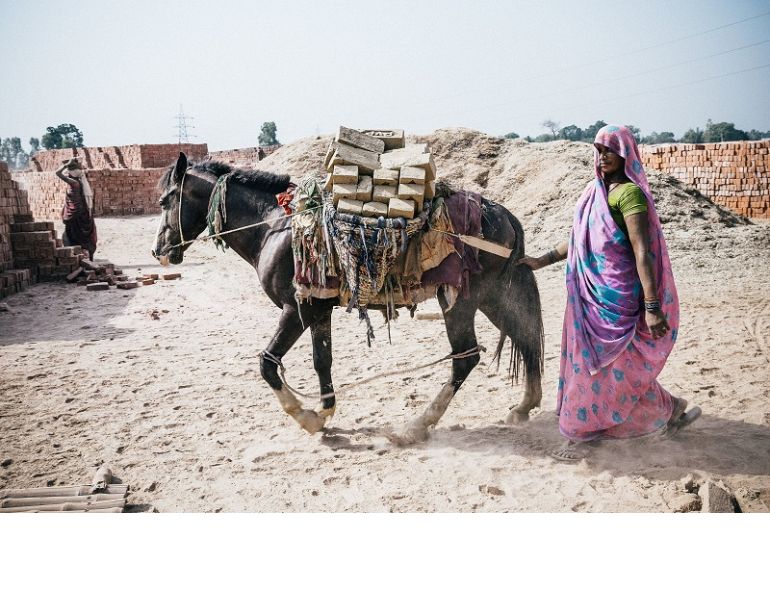 brooke usa, donkey sanctuary, spana, world horse welfare, brooke international, donkeys third world countries equine horses third world contries, horse welfare, equine welfare