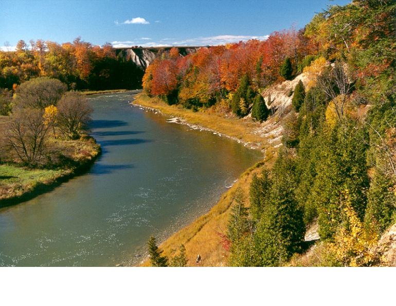 horse laminitis, horse campground ontario, horse campground canada, saugeen bluffs campground, horse vacation ontario, horseback riding canada