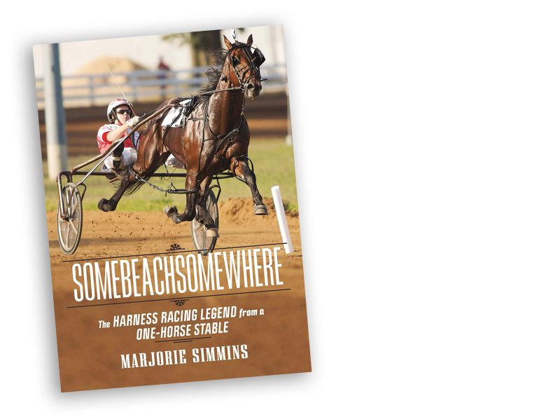 good horse books, best horse books, somebeachsomewhere, equine book reviews