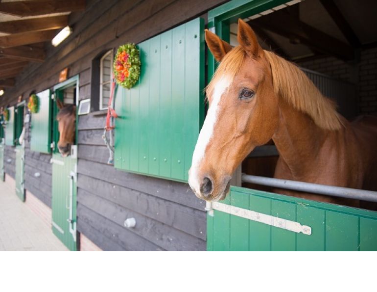 enviromentally friendly horse barn, eco friendly horse, eco friendly horse barn, stephanie captein Langley Environmental Partners Society, recycling horse bedding, composting horse manure